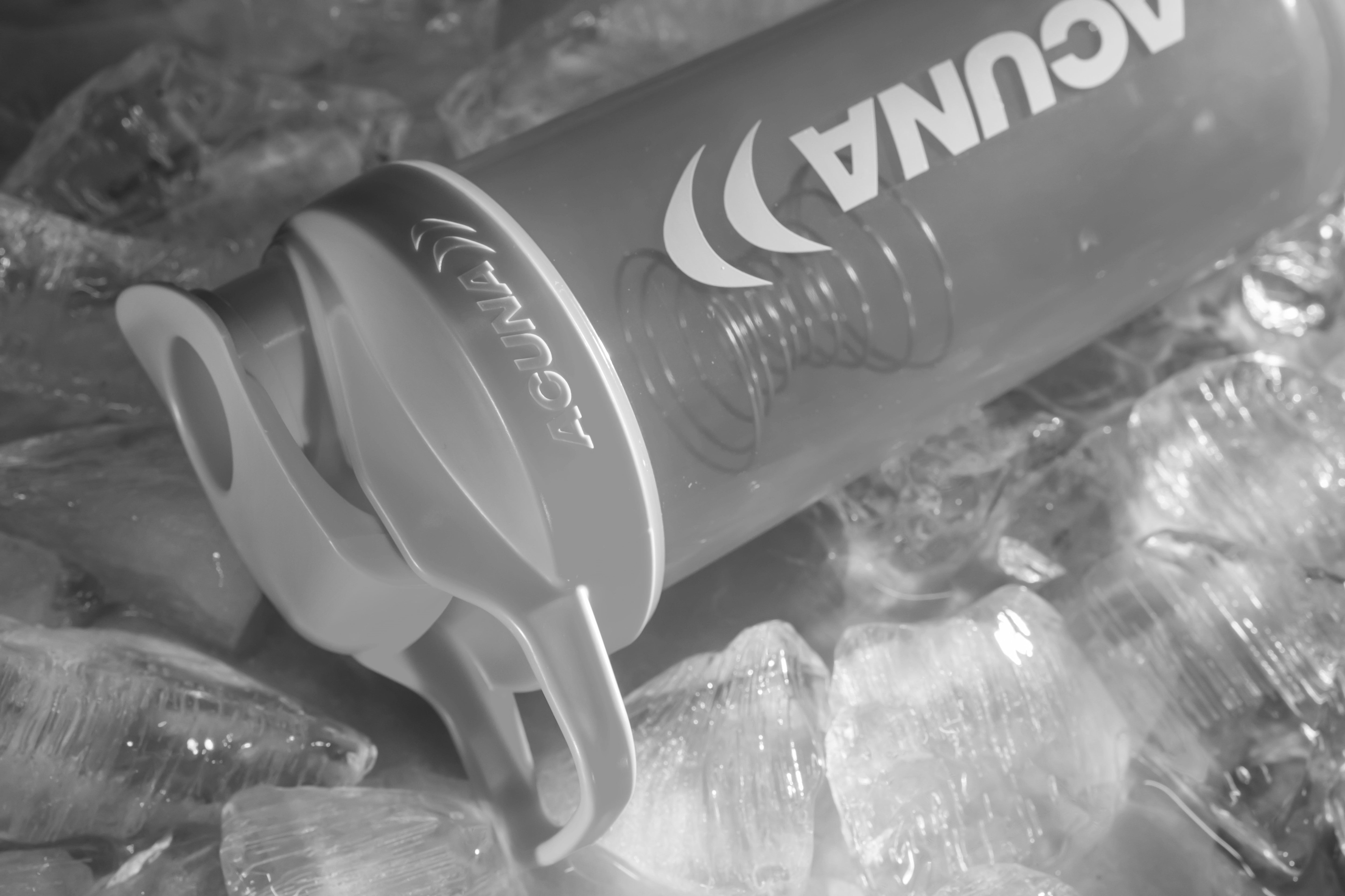best protein shaker